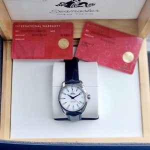 Omega Aqua Terra Good Planet Titanium 38.5mm 231.90.39.21.04.001 3