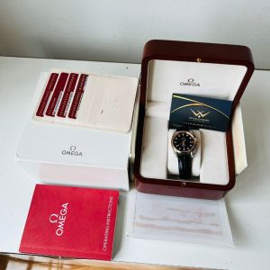 Omega Seamaster Aqua Terra 231.23.39.21.51.001 23123392151001 7